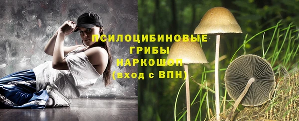 спиды Чердынь